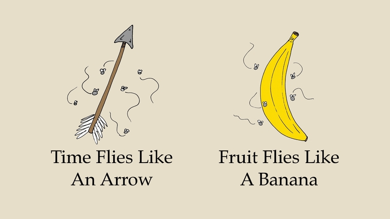 Fruit Flies Like A Banana (illustrations by Geoff Draper, 2012)